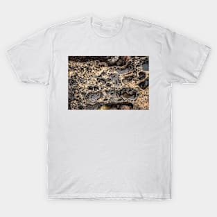 volcanic rock in Water T-Shirt